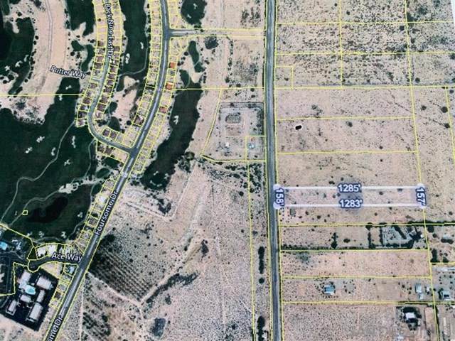 2981 Borrego Valley Rd - Photo 1