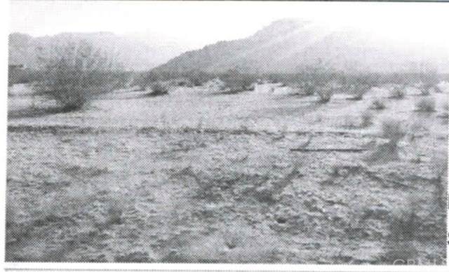 0 Japatul Road - Photo 1