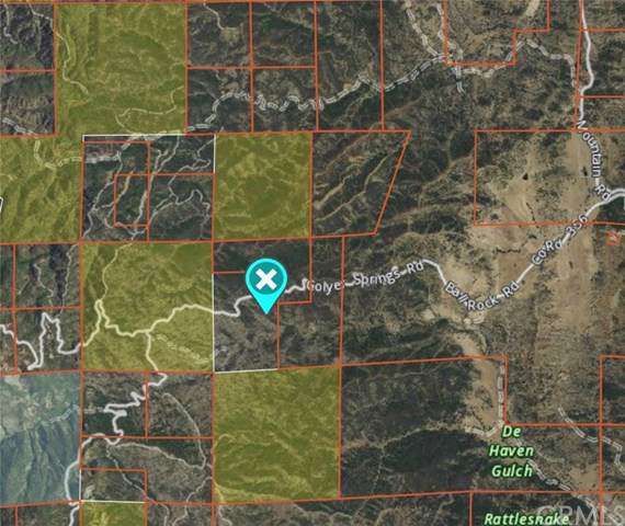 0 Colyer Springs Road - Photo 1