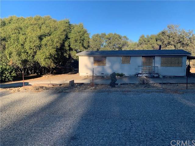 31761 Apache Road - Photo 1