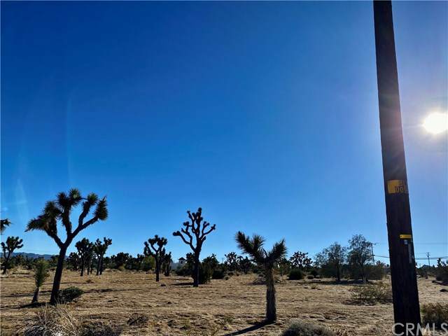 57031 Buena Vista Drive - Photo 1