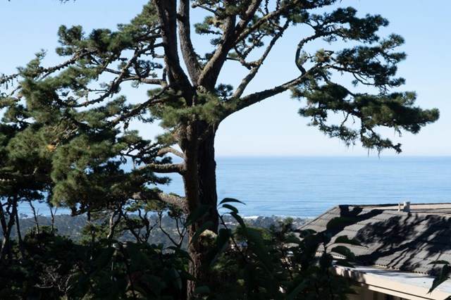 30 Skyline - Photo 1