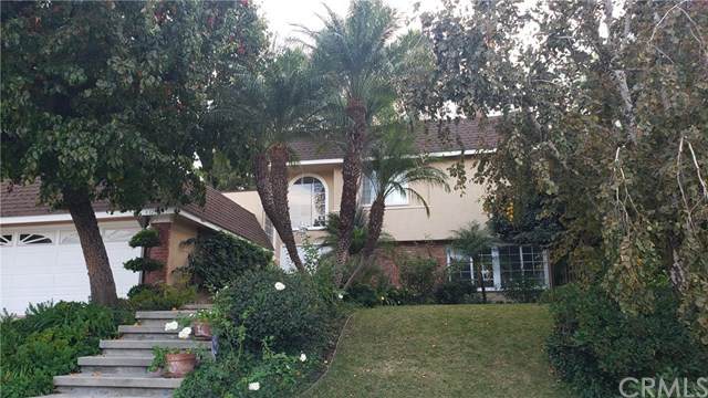 4729 Monarca Drive - Photo 1
