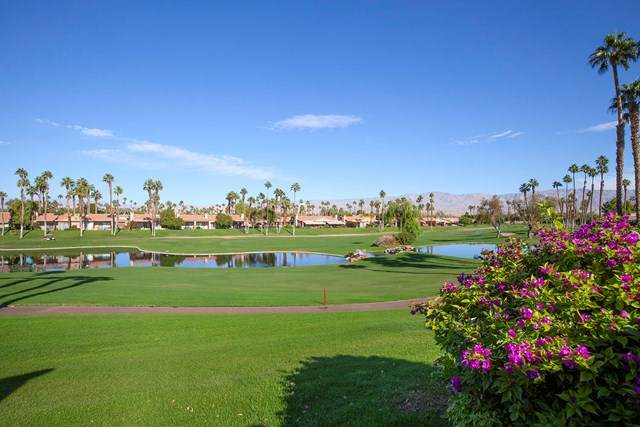 38642 Wisteria Drive - Photo 1