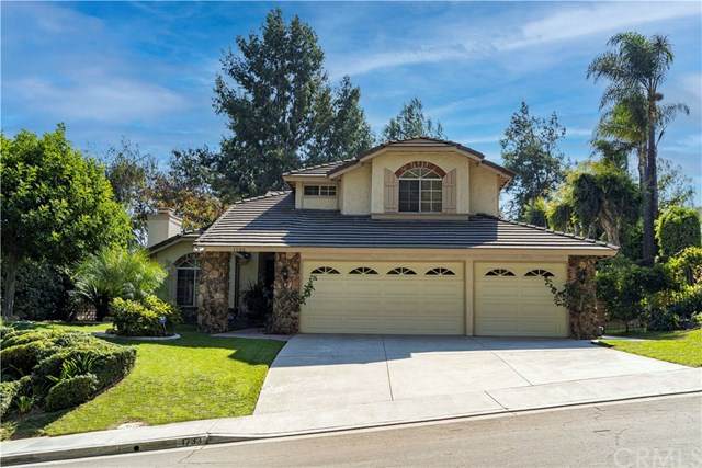 1733 Calle Catalina - Photo 1