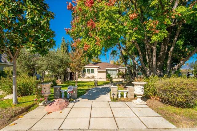 1885 Robin Road - Photo 1