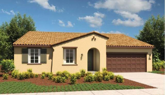 3071 Palomino Way - Photo 1