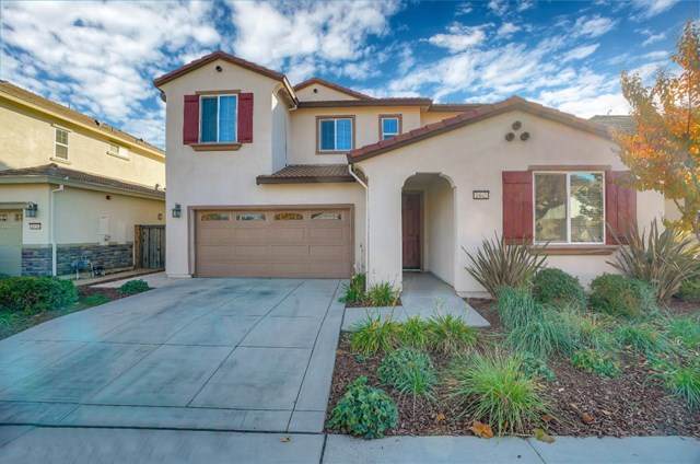 1842 Tarragon Drive - Photo 1