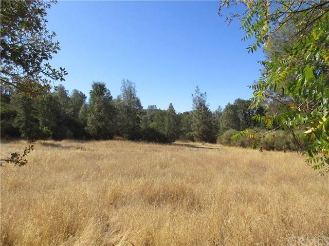 7452 Gross Road - Photo 1