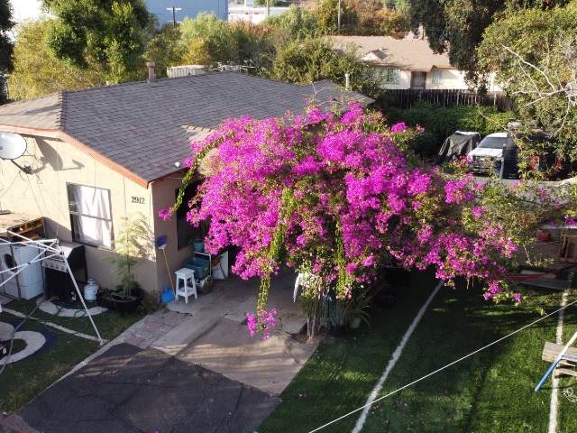2912 Island - Photo 1