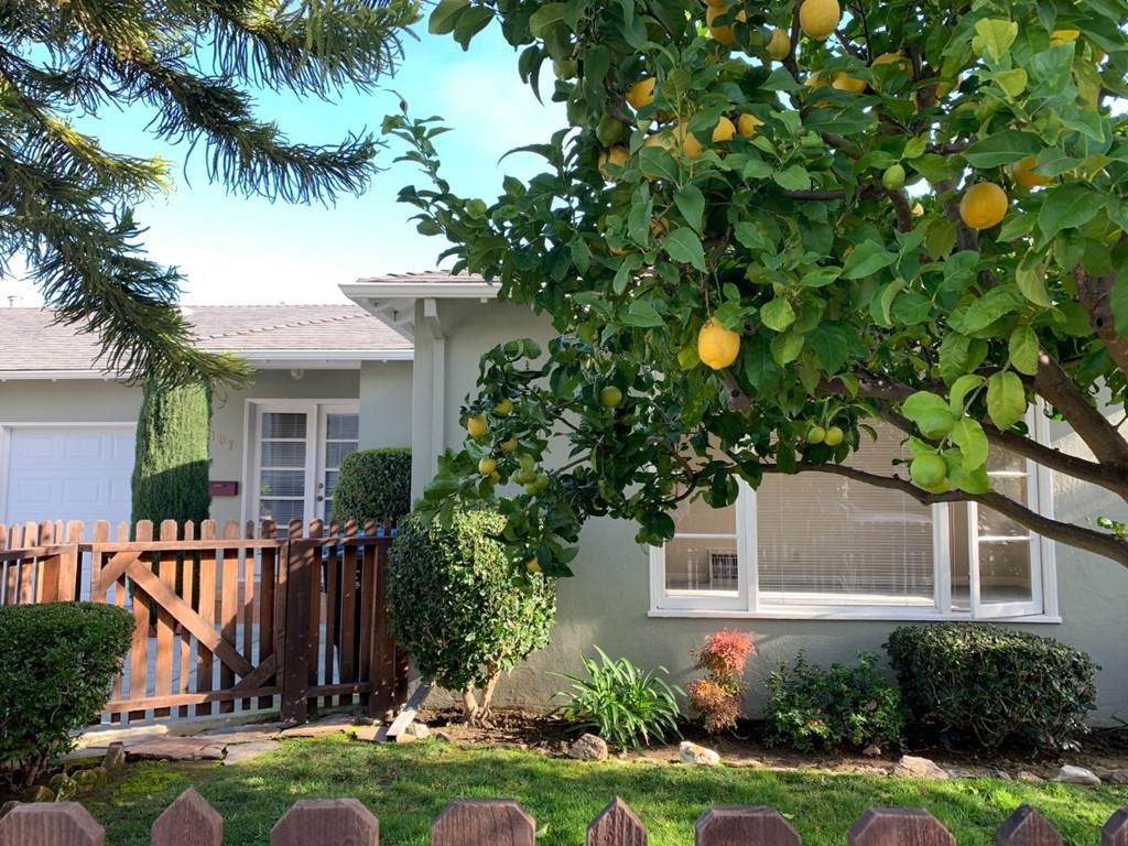 107 Elm Street - Photo 1