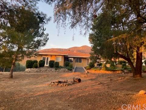 36040 Ivy Avenue - Photo 1