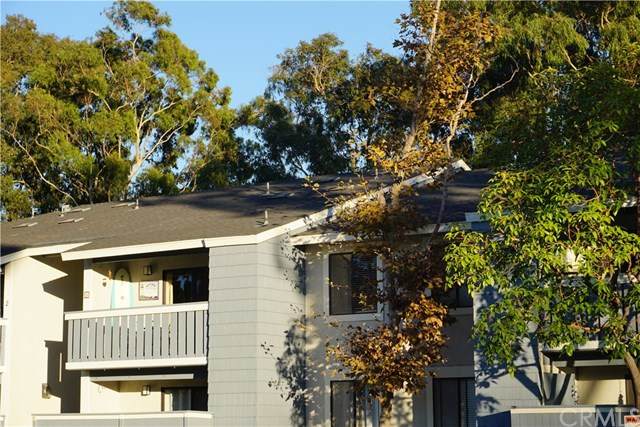 25611 Quail Run - Photo 1