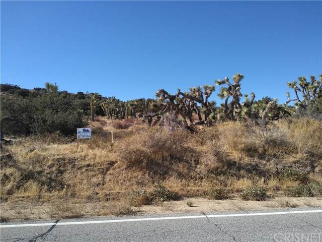 0 Longview Rd S/O Old Homestead Rd - Photo 1