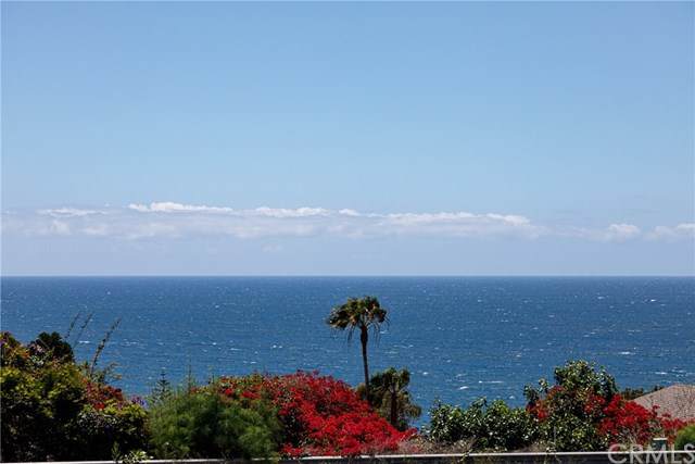 32282 Coast Hwy - Photo 1
