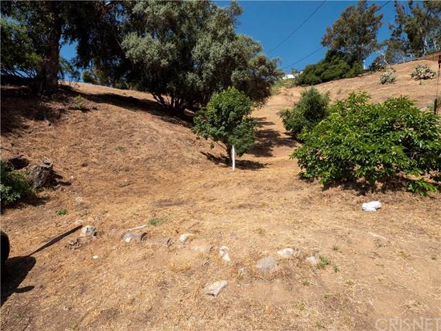 2445 Resthaven Dr - Photo 1