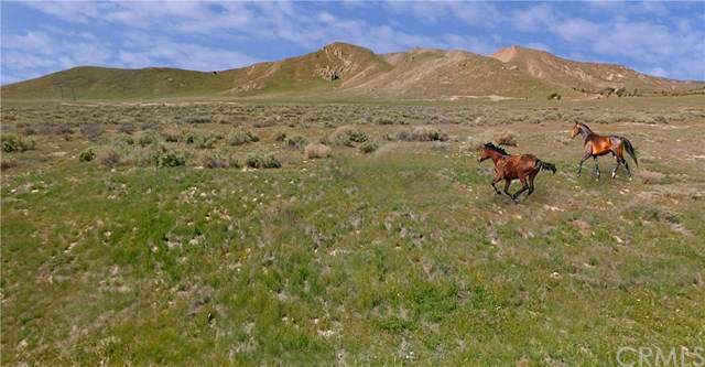 0-12500 Soda Lake Road - Photo 1