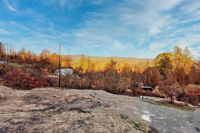 100 Wildberry Drive - Photo 1