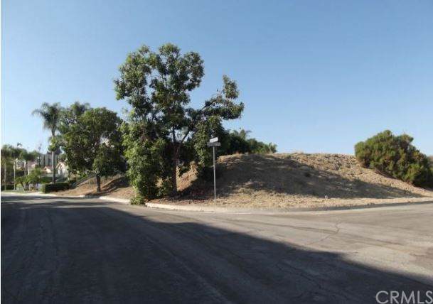 1043 Holiday Drive - Photo 1