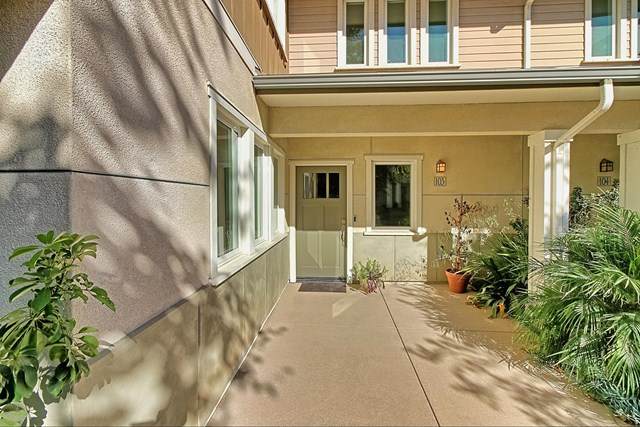 11139 Snapdragon Street - Photo 1