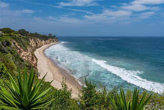 29130 Cliffside Drive - Photo 1