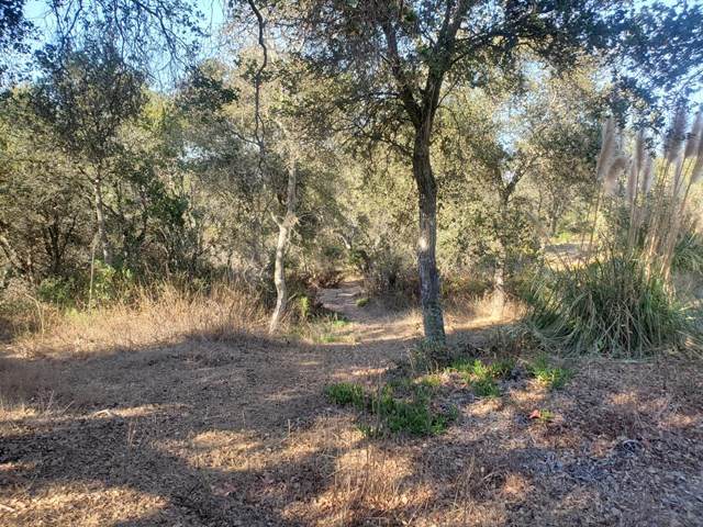 0 Mallory Canyon Road - Photo 1