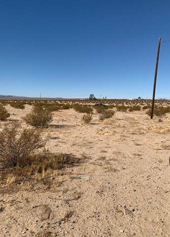 69829 Foley Drive - Photo 1