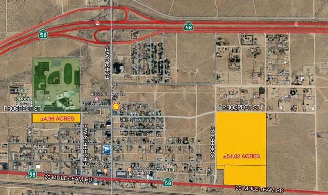 0 20 Mule Team Road - Photo 1