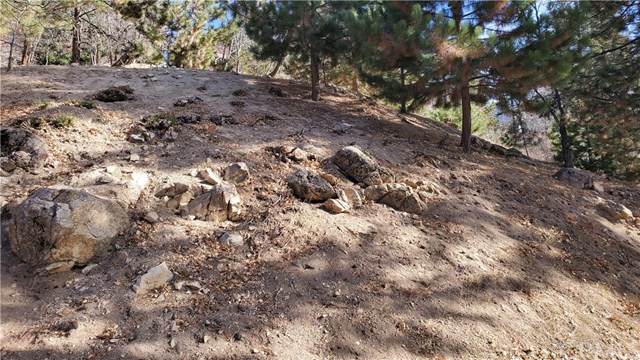 88 Park - Photo 1