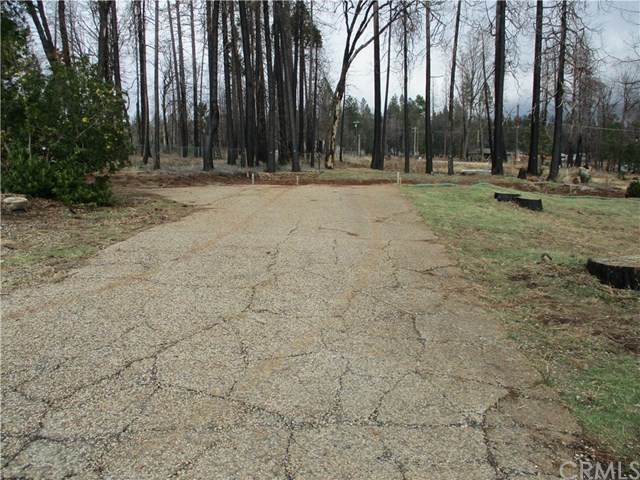 6235 Odessa - Photo 1