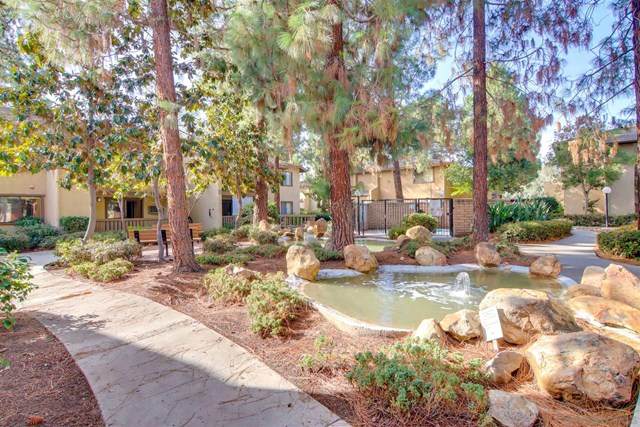 10206 Black Mountain Rd - Photo 1