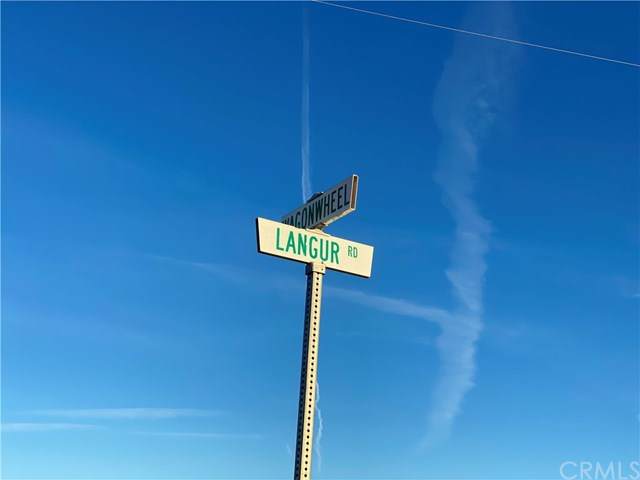0 Wagonwheel Rd/Langur Road - Photo 1