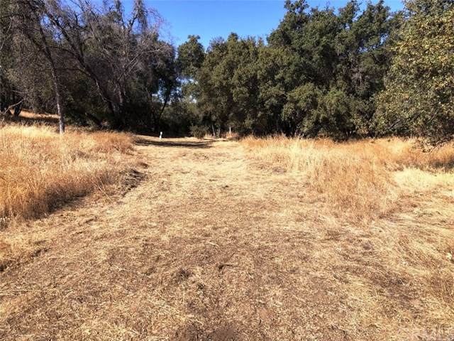 0 Lot 16 Rolling Meadows Court - Photo 1