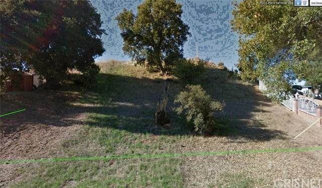 29283 Val Verde Rd - Photo 1