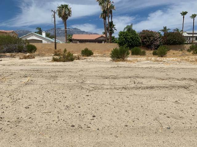 0 Date Palm - Photo 1