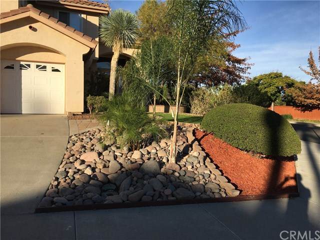 23480 Bending Oak Court - Photo 1
