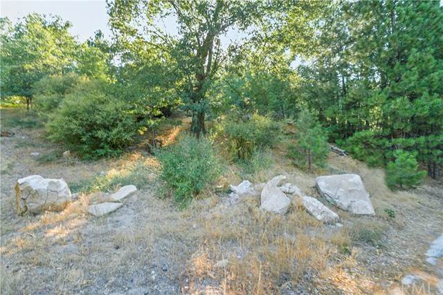 27452 North Bay Road - Photo 1