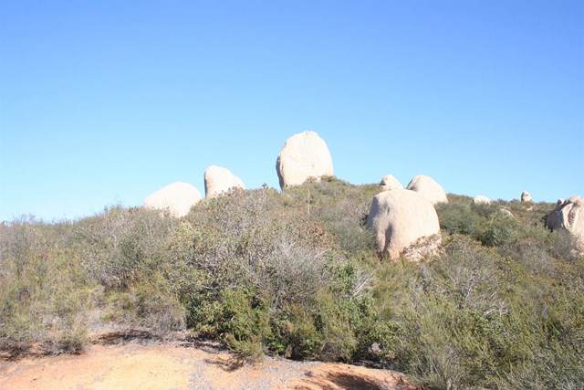 Next to 19096 Deerhorn Valley Road - Photo 1