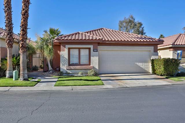 42451 Saladin Drive - Photo 1
