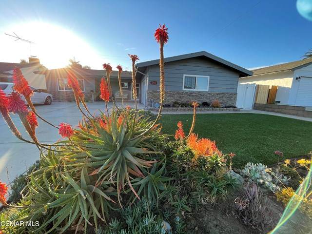263 Princeton Avenue - Photo 1