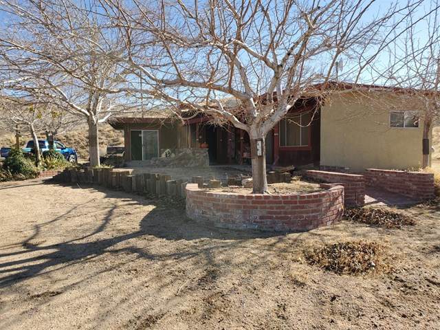 25277 Rancho Street - Photo 1