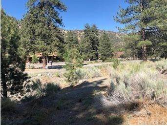 0 Mountain View Avenue - Photo 1