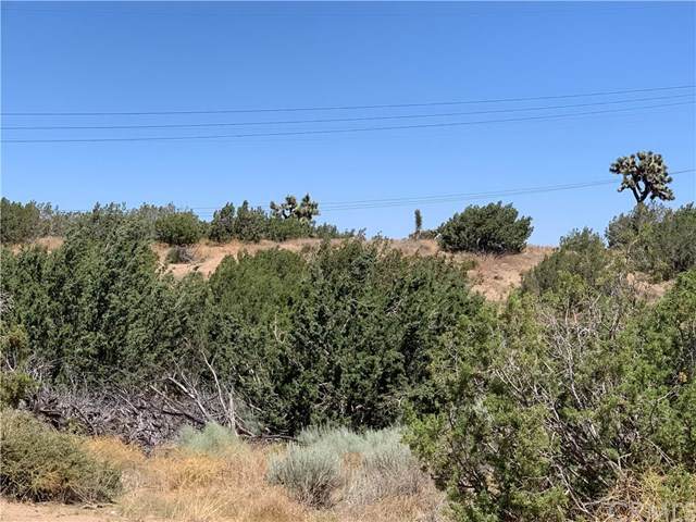8590 Daisy Street - Photo 1
