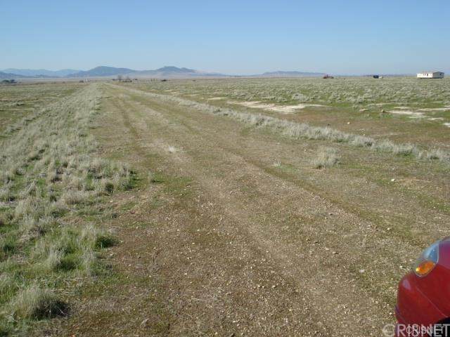 11138 Del Loma Trail - Photo 1