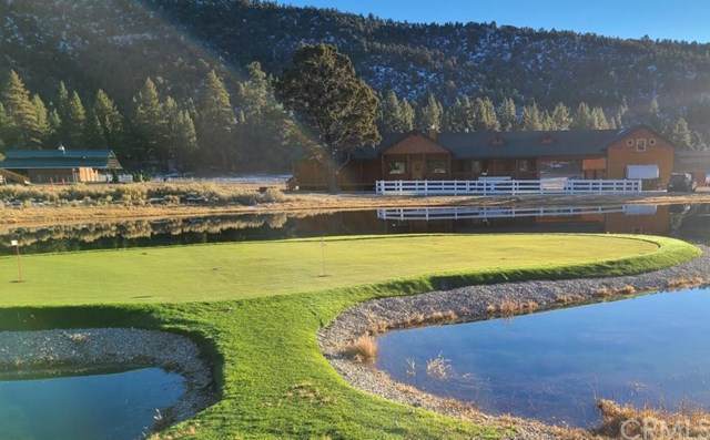 2806 Erwin Ranch Road - Photo 1