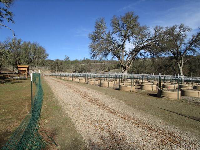 1000 State Hwy 53 - Photo 1