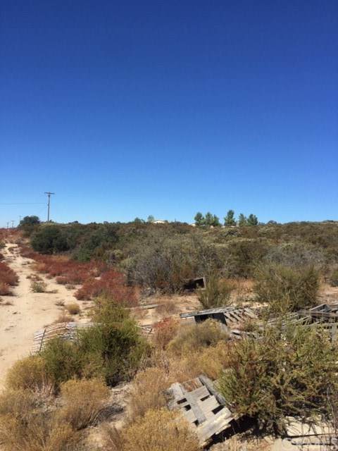 2525 Tecate Divide Road - Photo 1