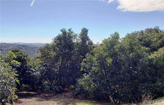 43737 La Cruz Drive - Photo 1