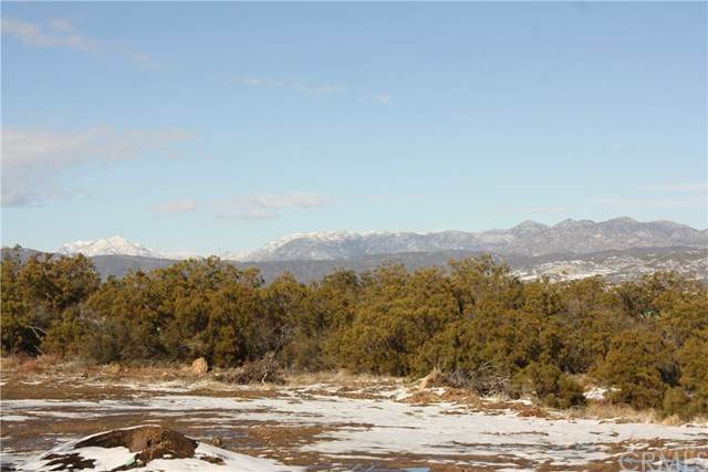 45225 Chapman Road - Photo 1