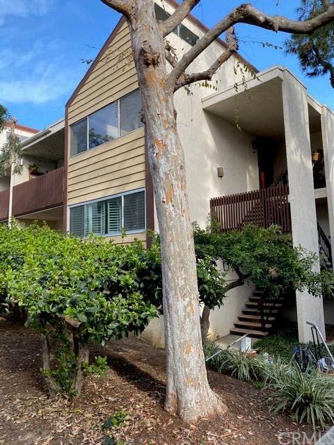 5900 Canterbury Drive - Photo 1